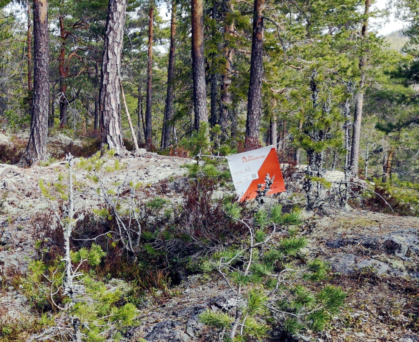 Treningsløp Ormåsen